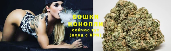 гидропоника Новозыбков