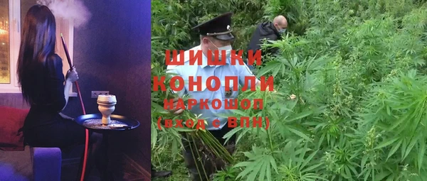 гашик Нея