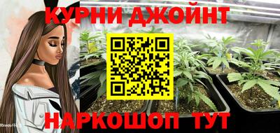 твердый Будённовск