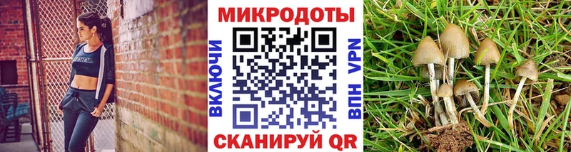сколько стоит  Красноуфимск  Галлюциногенные грибы мухоморы 