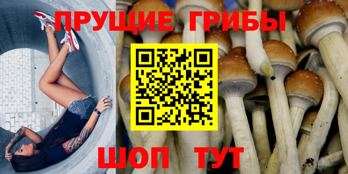 Псилоцибиновые грибы MAGIC MUSHROOMS  Красноуфимск 