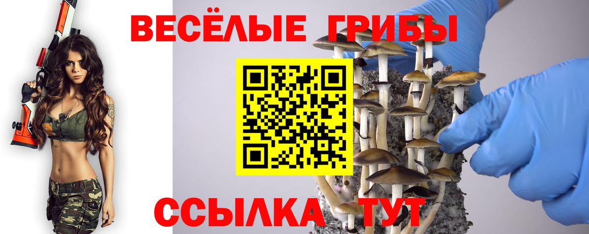 Галлюциногенные грибы прущие грибы Красноуфимск